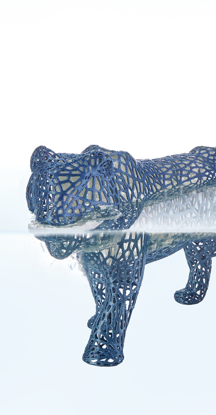 ANYCUBIC-FR