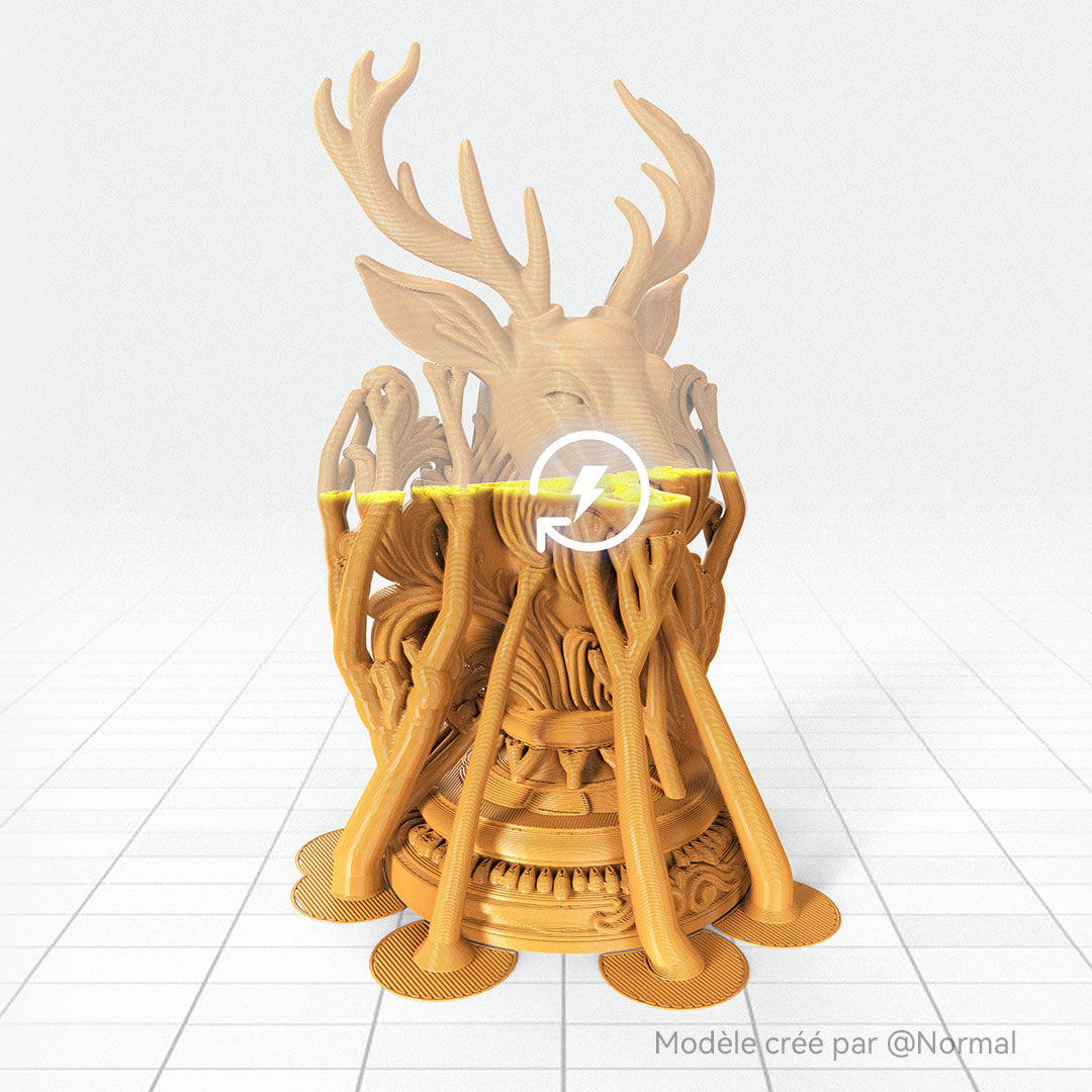 ANYCUBIC-FR