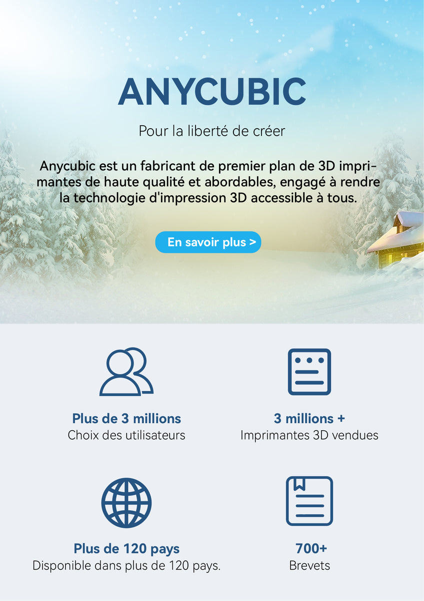 Anycubic Plaque d'Impression Magnétique - 3DJake France
